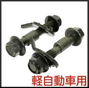  Camber bolt adjustment type 12mm