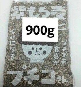 国産 皮つき 紫 もち麦 プチコさん 900g 