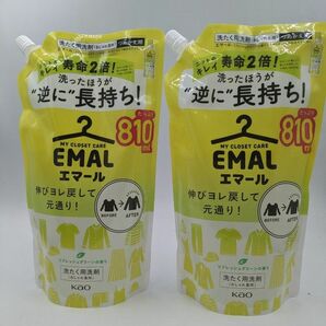 花王　エマール 洗濯洗剤 リフレッシュグリーン つめかえ用 810mL　2個セット