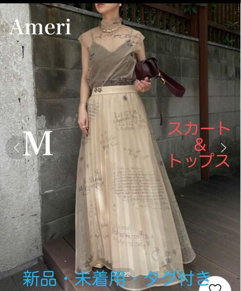 Ameri HOROSCOPE SHEER PLEATS SKIRT & TOPS 