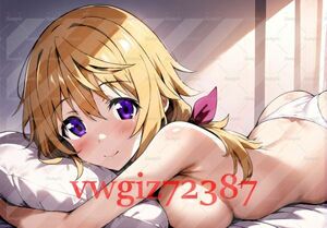 AN-3327 2G シャルロット・デュノア インフィニット・ストラトス IS 同人 A4 アニメ 高品質 anime 美少女 巨乳 イラストアート ポスター