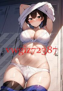 AN-3108 2G 加賀 艦これ 艦隊これくしょん 同人 A4サイズ ポスター アニメ 高品質 anime 美少女 巨乳 イラストアートポスター