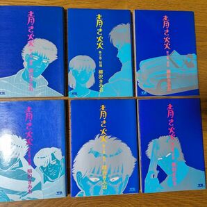 柳沢きみお　青き炎　全6巻