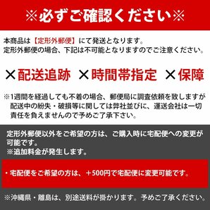 【送料無料】Lサイズ バイク 自転車 インナーパンツ ヒップガード ヒップ ボディ プロテクター サイクリング パンツ メッシュ素材 二輪車の画像7