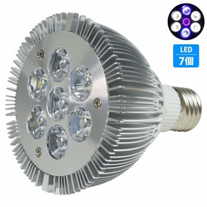 【送料無料】 水槽用 スポット ライト 14W 電球 7LED 白4/青2/紫外線1灯UV 口金 E26 アクアリウム 電球 照明 植物育成 水草 サンゴ 熱帯魚