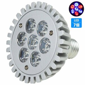 【送料無料】 7LED 青4赤3 7W 口金 E26 水槽 用 スポット ライト 電球 アクアリウム 電球 照明 植物育成 水草 サンゴ 熱帯魚 観賞魚 LED