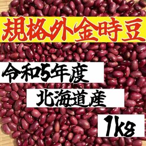 【500g規格外】令和5年度 北海道産 大正金時 金時豆 乾燥豆 美味しい 健康 豆 日本 いんげん 美容 ダイエット 煮豆 