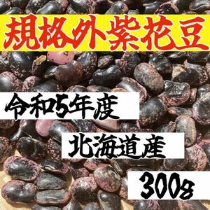 【300g規格外】令和5年度 北海道産 紫花豆 乾燥豆 美味しい 健康 豆 ダイエット 美容 和菓子 煮豆 日本 