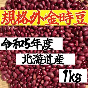 【規格外1kg】令和5年度 北海道産 大正金時 金時豆 乾物 乾燥野菜 豆 