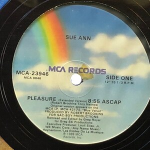 Sue Ann - Pleasure (Extended Remix)（★盤面ほぼ良品！）