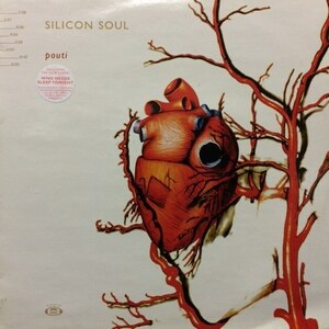 Silicon Soul - Pouti