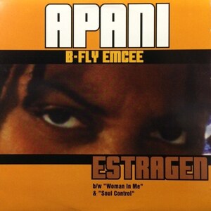 Apani B-Fly Emcee - Estragen / Soul Control（★美品！）