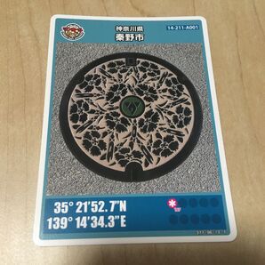 マンホールカード 秦野市 神奈川県 なでしこ