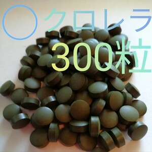 ○クロレラ300粒　プレコ エサ　インペ　ブッシー　キンペコ