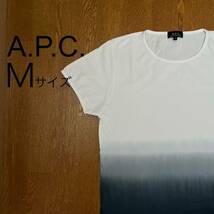 A.P.C. アーペーセー Tシャツ メンズ Mサイズ 白×ネイビーグラデーションプリント_画像1