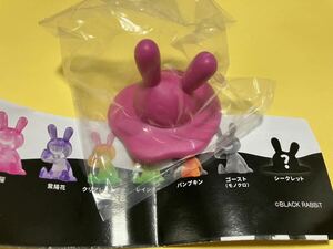 未使用　ブラックラビット6 シークレット　BLACK RABBiT　レア　ガチャ　ガシャポン