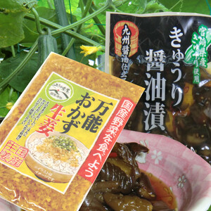 『宮崎の漬物』ご飯のお供二選 「万能おかず生姜」130g×1袋 「きゅうりの醤油漬け」100g×1袋 いろんな料理に 送料無料　