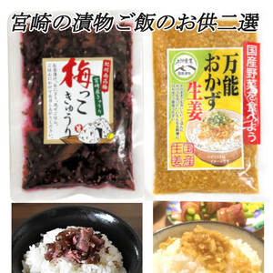 【宮崎の漬物】 ご飯のお供二選 「梅っこきゅうり」130g×1袋「万能おかず生姜」130g×1袋 お試し ご飯のお供 おにぎり おかず 送料無料