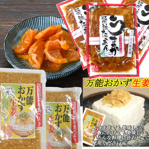 『宮崎の漬物』 うまか醤油たくあん 180g×3袋　万能おかず生姜 130g×2袋　ご飯のお供　送料無料