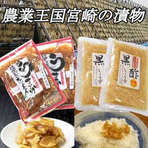 [ Miyazaki. tsukemono pickles ] black vinegar ginger 130g×2 sack ... soy sauce ....180g×2 sack rice. .. free shipping 