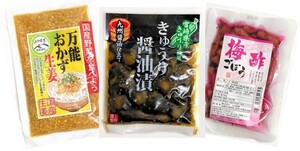 『宮崎の漬物』 万能おかず生姜 130g×1袋 きゅうり醤油漬 100g×1袋 梅酢ごぼう 80g×1袋 ご飯のお供 送料無料