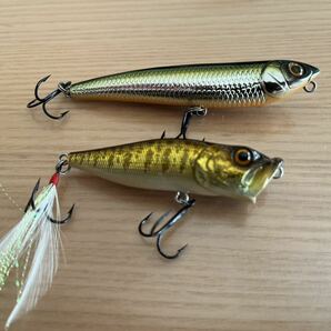 Megabass ‘99 POP-X , ‘99 DOG-X(W) 2点メガバスMEGABASSの画像2