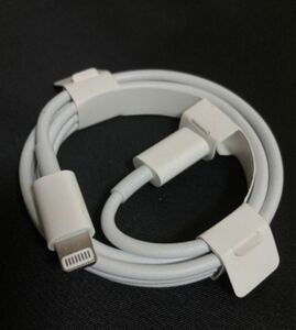 【Apple 純正品】iPhone Lightningケーブル　C-TYPE iPhoneSE2 購入時についていたものです！