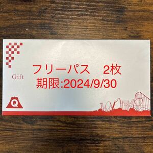 Fujikyu Highland Free Pass 2 Взрослые