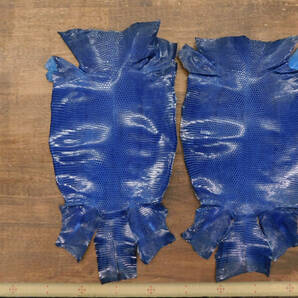 トカゲ革（リザード） ブルー 2枚の画像3