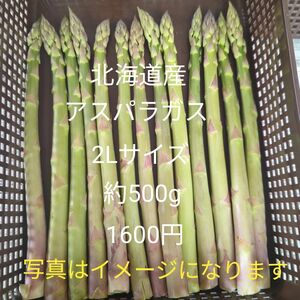 北海道産アスパラガス2L約500g