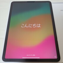 Apple iPad Pro 11インチ Wi-Fiモデル 256GB スペースグレイ_画像1