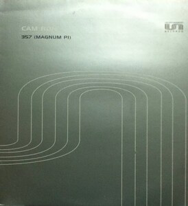 【廃盤12inch】Cam'ron / 357 (Magnum P.I.)