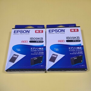 ◆◇送料無料　新品　EPSON インクカートリッジ IB09KB ブラック　2個　 大容量　期限2026.7◇◆