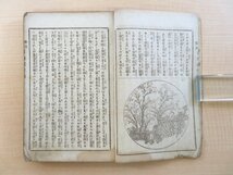 宇田川文海『春宵閑話新街夜作楽』明治17年 福島幾太郎刊（大阪府）明治時代和本（和装活字本）_画像5