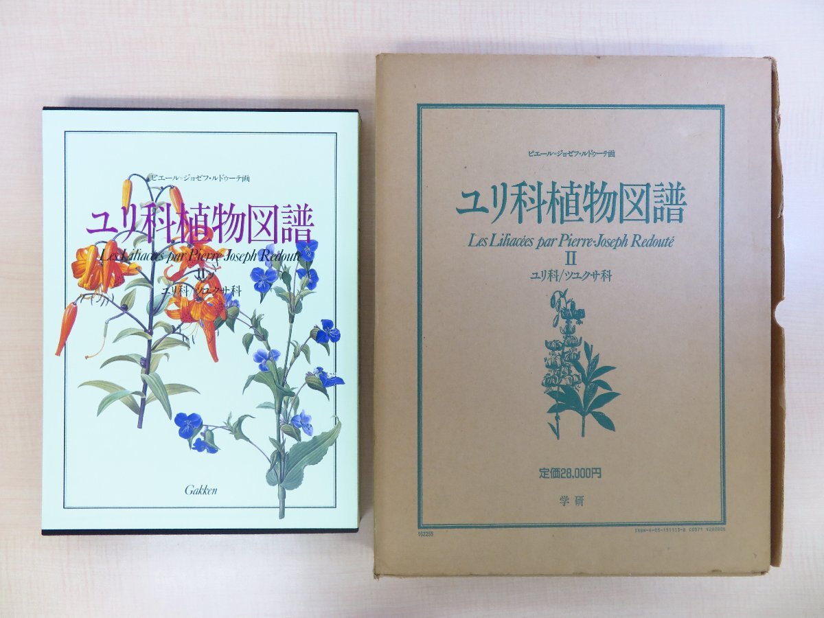 速くおよび自由な ピエール=ジョゼフ・ルドゥーテ『ユリ科植物図譜2 ユリ科 その他