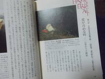 官能美術史　ヌードが語る名画の謎　池上英洋(ちくま学芸文庫2015年)送料114円_画像10