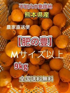 熊本県産 農家直送 不知火(デコポン9kg 6