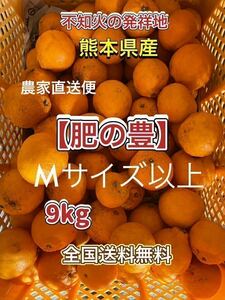 熊本県産 農家直送 不知火(デコポン9kg 8