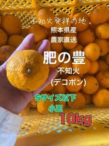 熊本県産 農家直送 不知火(デコポン)小玉10kg6