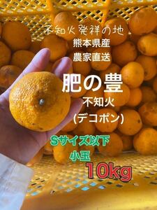 熊本県産 農家直送 不知火(デコポン)小玉10kg5