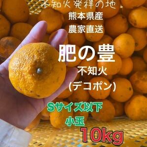 熊本県産 農家直送 不知火(デコポン)小玉10kg5の画像1