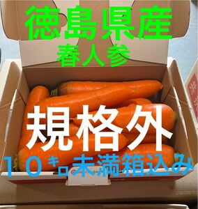 徳島県産　春人参　規格外　１０㌔未満箱込み