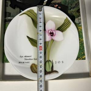 【未使用】【新品】飾り皿 洋ラン 蘭花譜 Lyc.skinneri Hamilton Smith 皿立て ディッシュスタンドの画像3