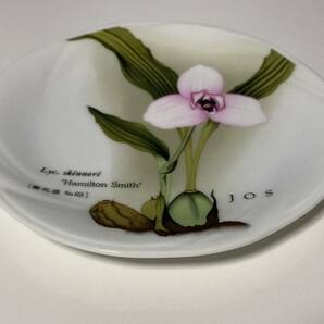 【未使用】【新品】飾り皿 洋ラン 蘭花譜 Lyc.skinneri Hamilton Smith 皿立て ディッシュスタンドの画像4