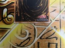 遊戯王 YU-GI-OH ダーク ネクロフィア レリーフ アルティメットレア 1円スタート LN-14 31829185_画像6