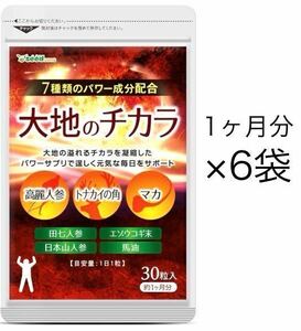 ★送料無料★大地のチカラ 約6ヶ月分(2026.5~)(1ヶ月分30粒入り×6袋)高麗人参 トナカイの角 マカ シードコムス サプリメント