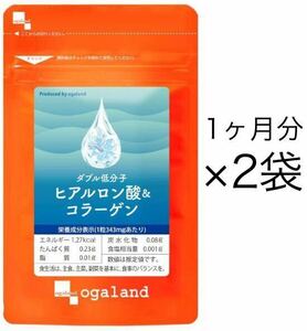 ★送料無料★W低分子ヒアルロン酸&コラーゲン 約2ヶ月分(1ヶ月分60カプセル入×2袋)オーガランド サプリメント エイジングケア