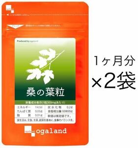 ★送料無料★桑の葉粒 約2ヶ月分(1ヶ月分90粒入り×2袋)リーフダイエット オーガランド サプリメント