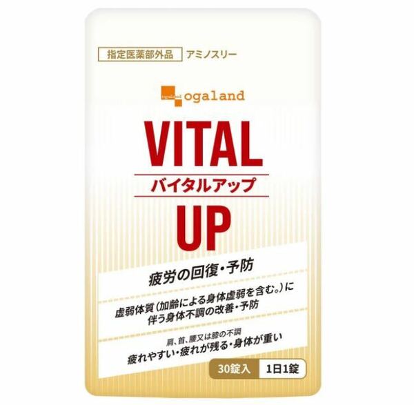 ★送料無料★バイタルアップ 約1ヶ月分(30錠入り)オーガランド 【指定医薬部外品】1日1粒 疲労回復 疲れ だるさ 体調不調 体力 BCAA