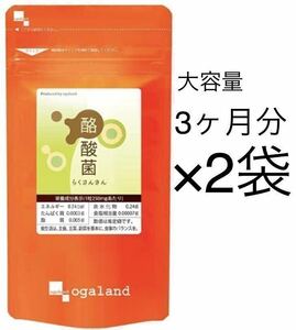 ★送料無料★酪酸菌 約6ヶ月分(2025.6~)(3ヶ月分90粒入り×2袋)大容量 腸内フローラ オーガランド サプリメント